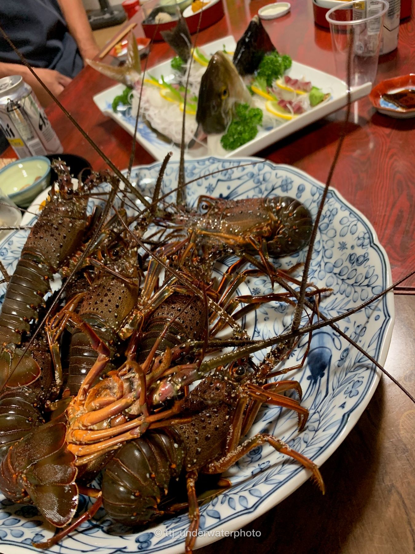 イセエビ