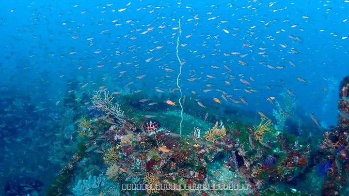 熱海