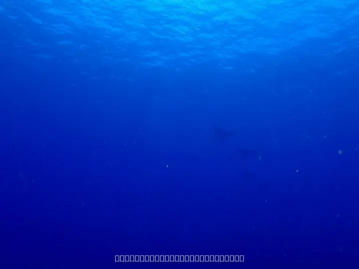 父島