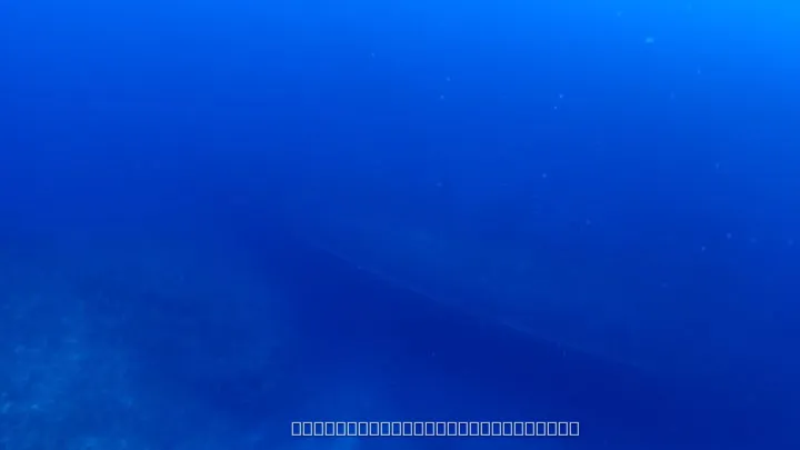 沈船