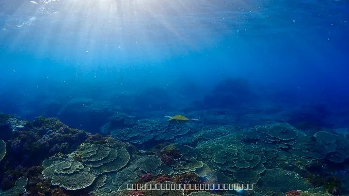 八丈島