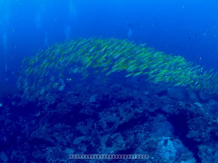 父島