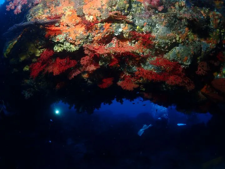 伊豆大島
